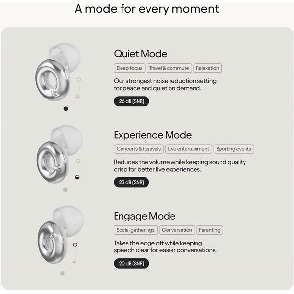 Loop Switch 2 Earplugs Silver