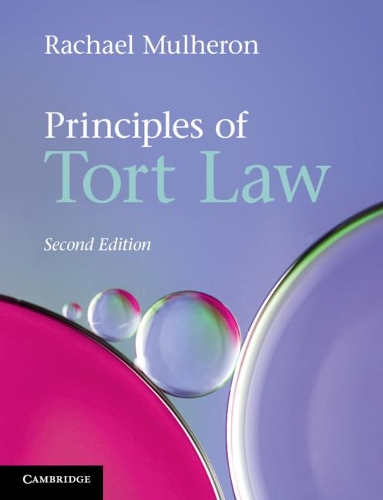 Principles of Tort Law (PDF eBook)