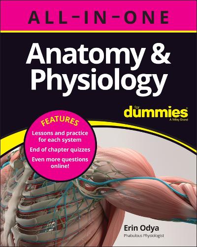 Anatomy & Physiology All-in-One For Dummies (+ Chapter Quizzes Online) (ePub eBook)