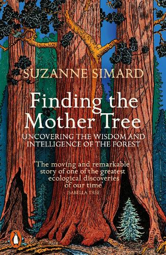 Finding the Mother Tree: Uncovering the Wisdom and Intelligence of the Forest