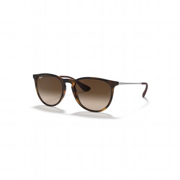 Rayban Erika Havana with Brown Lens