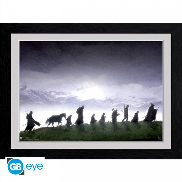 The Lord of The Rings Fellowship 30 x 40cm Framed Collector Print